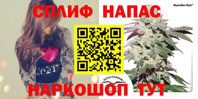 прущие грибы Кумертау